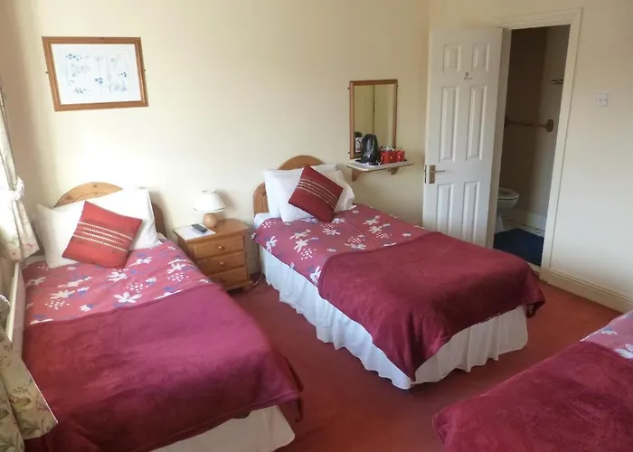 Dooley'S Guest Accommodation 3*